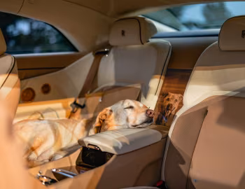 Інтэр'ер Rolls-Royce Spectre "Bailey" '10.2025