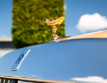 Маскот Rolls-Royce Spectre "Bailey" '10.2025