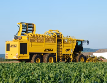 ROPA euro-Tiger V8-3 '2007–11