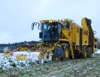 ROPA euro-Tiger V8-3 '2007–11