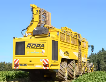 ROPA euro-Tiger V8-4 '2011–pr.
