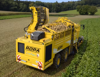 ROPA euro-Tiger V8-4 '2011–pr.