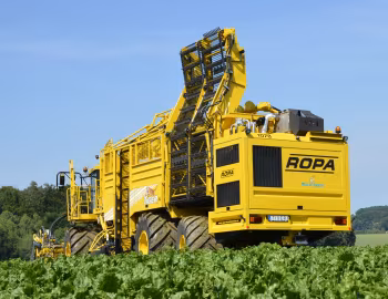 ROPA euro-Tiger V8-4 XL '2011–pr.