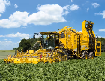 ROPA euro-Tiger V8-4 XL '2011–pr.