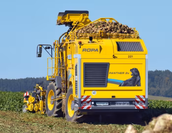 ROPA Panther 2S '2021–pr.