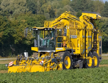 ROPA Tiger 6S '2019–pr.