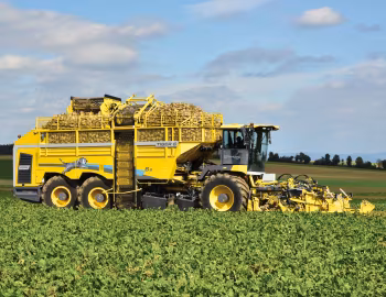 ROPA Tiger 6S '2019–pr.