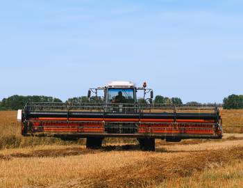 KSU 1 '2015–pr.