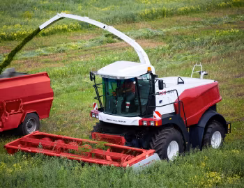 RSM 1401 '2009–21