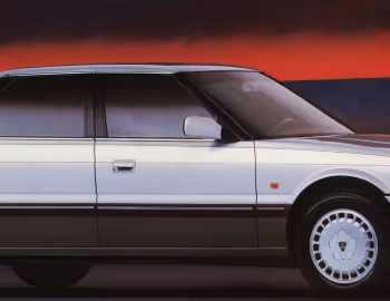 Rover Sterling [Worldwide] '1986–88