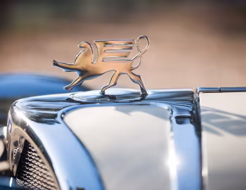 Маскот 1930 Ruxton Model C Sedan