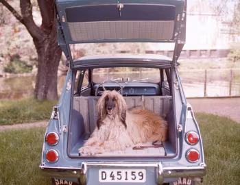 Saab 95 '1960–65