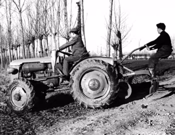 SAME Puledro DT '1960–63