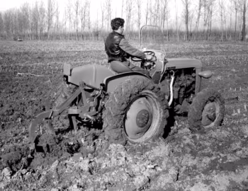 SAME Puledro DT '1960–63