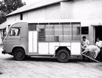 Saviem SB2 Cattle Truck