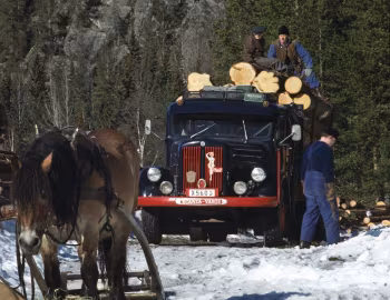 Scania-Vabis L71 Regent timber truck '1954–58