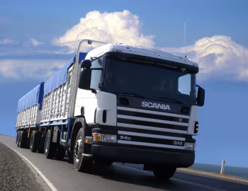 Scania P94D 310 4×2 '1996–2004