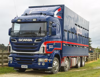 Scania R560 8×4 livestock transport [New Zealand] '2009–13