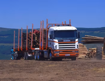 Scania R144G 460 6×4 rigid timber truck [South Africa] '1995–2004