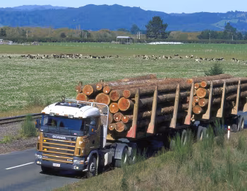 Scania R144 GA6×4 530 [New Zealand] '1995–2004