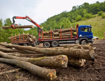 Scania R500 6×4 rigid timber truck with crane '2009–13