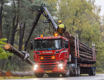 Scania R560 6×4 Streamline Timber Truck '2013–н.в.