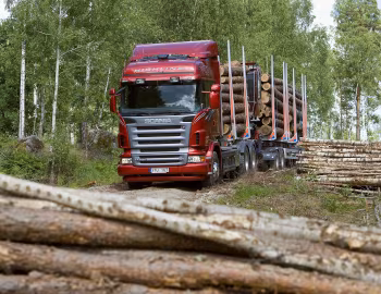 Scania R620 6×4 CR19H Highline rigid timber truck '2006–09