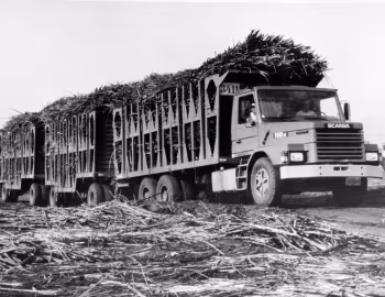 Scania T112E 6×4 [Brazil] '1983–????