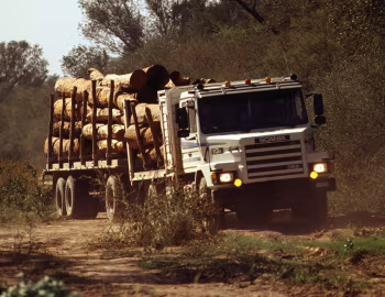 Scania T113HB 4×2 360 '01.1990–12.1996