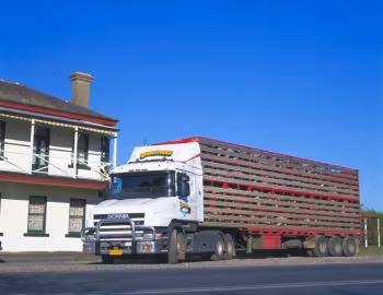 Scania T144G 460 6×4 [Australia] '1995–2001