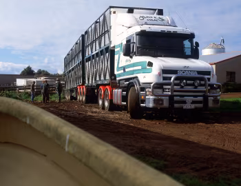 Scania T144 GA6×4 530 [Australia] '1995–2001