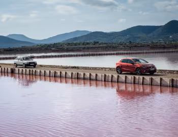 SEAT Ibiza '1984–н.ч.