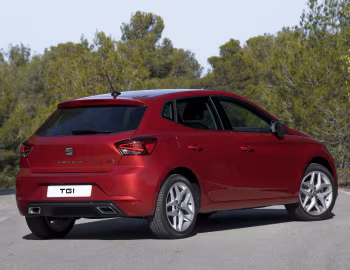SEAT Ibiza FR TGI [Worldwide] '2017–21