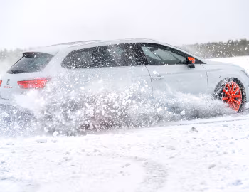 SEAT León ST Cupra 300 [Worldwide] (5F) '2017–20