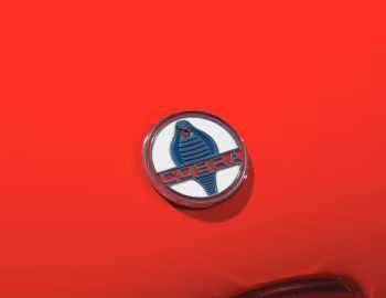 Shelby Cobra 427 Competition (CSX 3014) '1965
