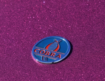 1963 Shelby Cobra Coupe "Dragonsnake" (CSX 2093)
