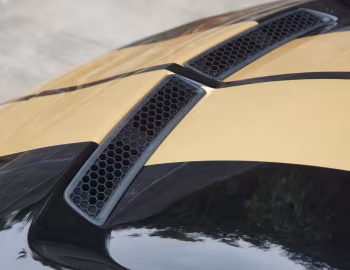 Shelby GT-H [Australia] (19SHX6702) '2019