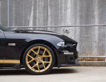 Shelby GT-H [Australia] (19SHX6702) '2019