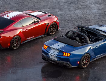 2024–pr. Shelby Super Snake '2024–pr.