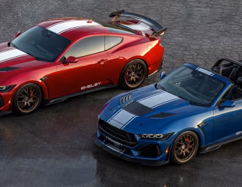 2024–pr. Shelby Super Snake '2024–pr.