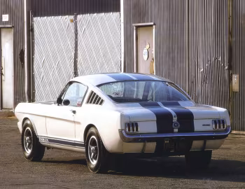 Shelby GT350