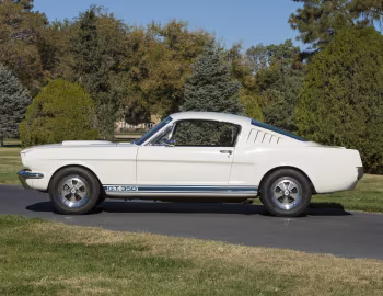 1965 Shelby GT350