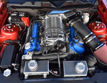 Sous la capuche Shelby GT500 Super Snake '2013–14