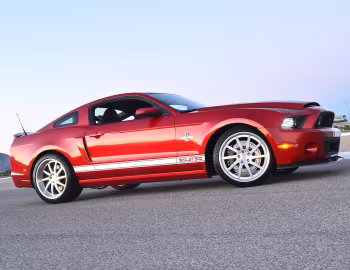 Shelby GT500 Super Snake '2013–14