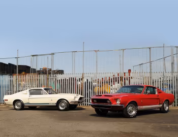 Shelby GT350, Shelby GT500
