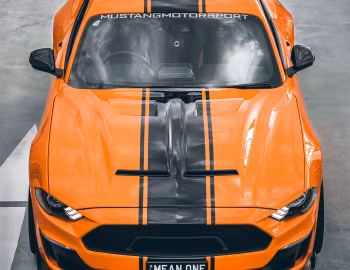 Shelby Super Snake Bold Edition [Australia] (20SSX6712) '2020