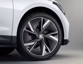 Škoda Enyaq iV 80 [Worldwide] '2020–н.ч.