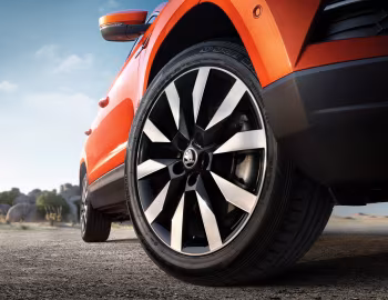Інтер'єр Škoda Karoq [China] '2018–21