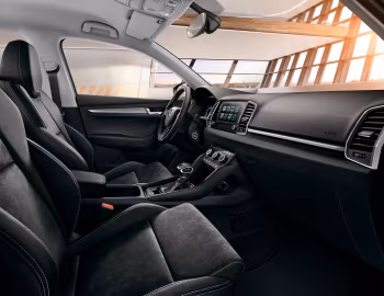 Interior Škoda Karoq [CIS] '2020–22