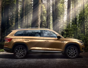 Škoda Kodiaq [China] '2017–н.ч.